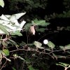 20180813_225207